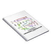 Translokationen (Karyogram) Notizblock (Rechte Seite)