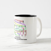 Translokationen (Karyogram) Zweifarbige Tasse (VorderseiteRechts)