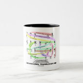 Translokationen (Karyogram) Zweifarbige Tasse (Mittel)
