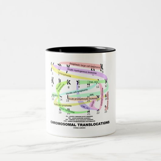 Translokationen (Karyogram) Zweifarbige Tasse (Mittel)