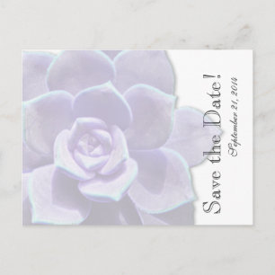 Translucent Lilac Succulent Save the Date Ankündigungspostkarte