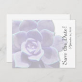 Translucent Lilac Succulent Save the Date Ankündigungspostkarte (Vorne/Hinten)
