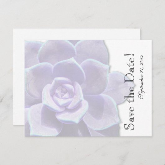 Translucent Lilac Succulent Save the Date Ankündigungspostkarte (Vorne/Hinten)