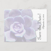 Translucent Lilac Succulent Save the Date Ankündigungspostkarte (Vorderseite)