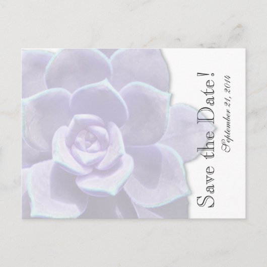 Translucent Lilac Succulent Save the Date Ankündigungspostkarte (Vorderseite)