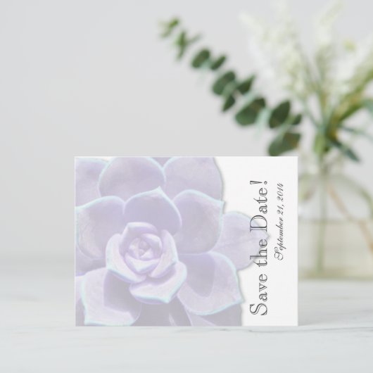 Translucent Lilac Succulent Save the Date Ankündigungspostkarte (Stehend Vorderseite)