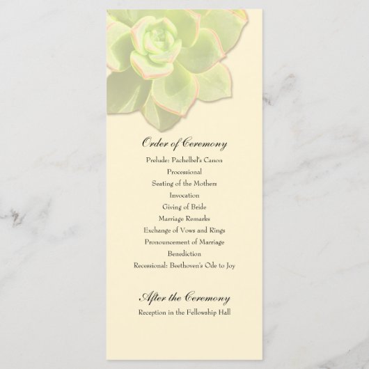 Transluzente Cremes Hochzeitsprogramm Programm (Rückseite)