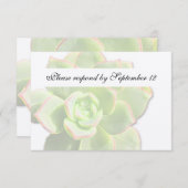 Transluzente grüne Sukkuline Vintage uAwg RSVP Karte (Vorne/Hinten)