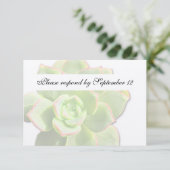 Transluzente grüne Sukkuline Vintage uAwg RSVP Karte (Stehend Vorderseite)