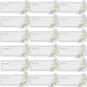 Transparente Gastadresse H2 Alabaster-Rose Aufkleber (Vorderseite)