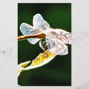 Transparente Libelle Briefpapier