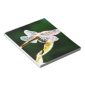 Transparente Libelle Notizblock (angewinkelt)