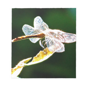 Transparente Libelle Notizblock