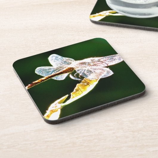 Transparente Libelle Untersetzer (Linke Seite)