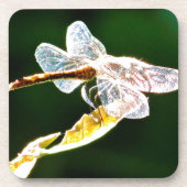 Transparente Libelle Untersetzer (Vorderseite)