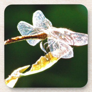 Transparente Libelle Untersetzer