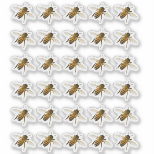 Transparente oder weiße, realistische Honigbiene i Aufkleber (Vorderseite)