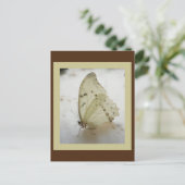 Transparente Schmetterlingspostkarte Postkarte (Stehend Vorderseite)