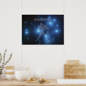 Transparenter Aquarius Poster (Küche)