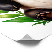 Transparenter Panda-Bär mit Blume Poster (Ecke)