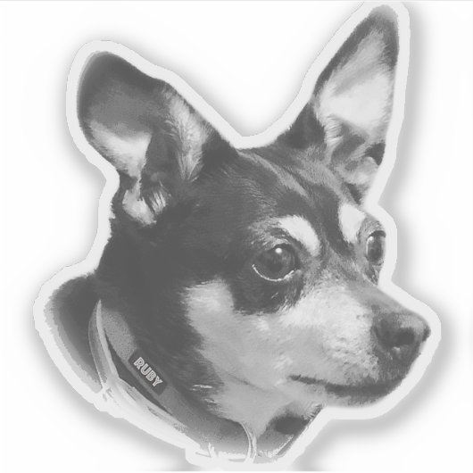 Transparenter Ruby Sticker !! (Vorderseite)