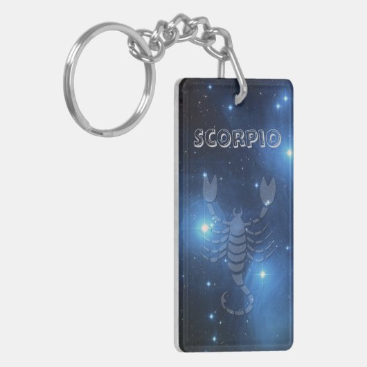 Transparenter Skorpion Schlüsselanhänger (Vorderseite links)