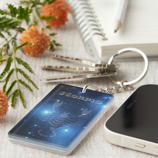 Transparenter Skorpion Schlüsselanhänger (Vorderseite rechts)