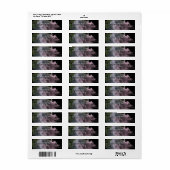 Transparentes Silk Elegantes Rücksendeadresse-Etik (Vorne)