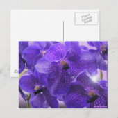 TRANSPARENZ POSTKARTE (Vorne/Hinten)