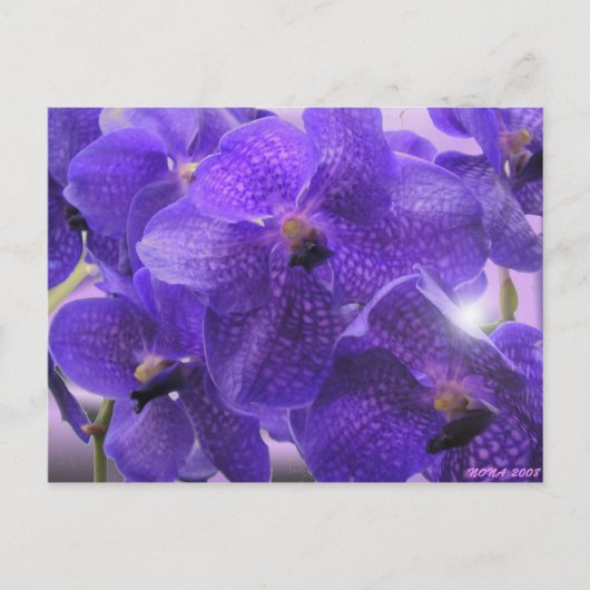 TRANSPARENZ POSTKARTE (Vorderseite)