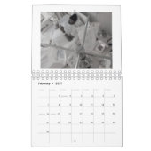 Transplantation Kalender (Feb 2027)