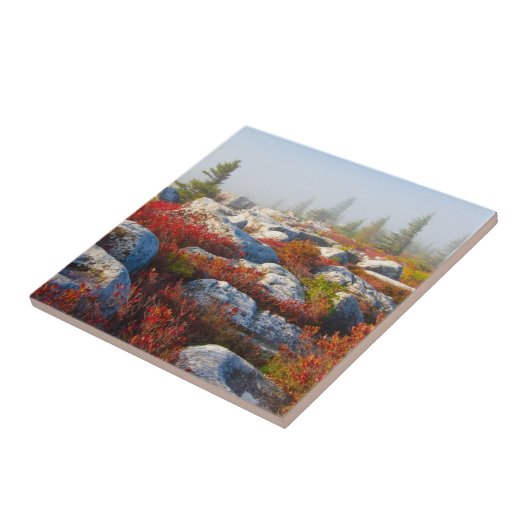 Transportwagen-Grasscholle-Wildnis-Fall Fliese (Seite)