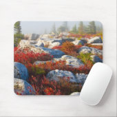 Transportwagen-Grasscholle-Wildnis-Fall Mousepad (Mit Mouse)