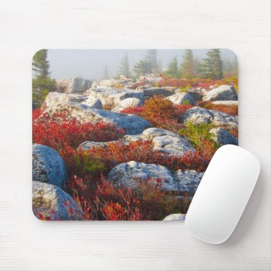 Transportwagen-Grasscholle-Wildnis-Fall Mousepad (Mit Mouse)