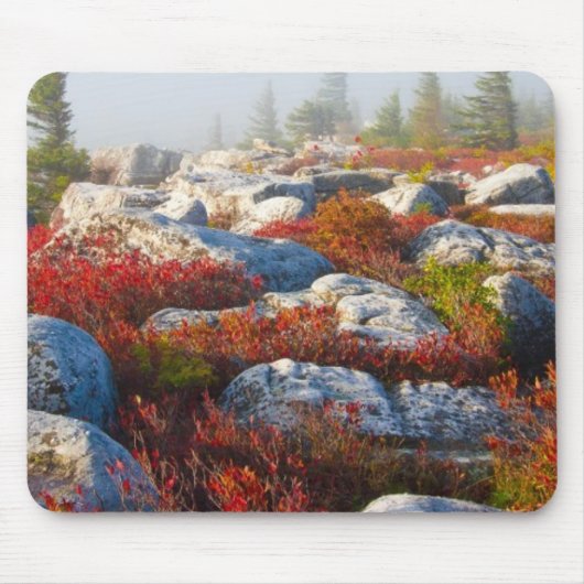 Transportwagen-Grasscholle-Wildnis-Fall Mousepad (Vorne)