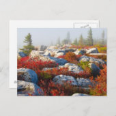 Transportwagen-Grasscholle-Wildnis-Fall Postkarte (Vorne/Hinten)