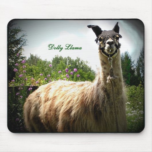 Transportwagen-Lama Mousepad (Vorne)