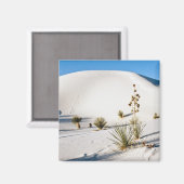 Transverse Dünen und Soaptree Yucca Magnet (Vorderseite/Rückseite)