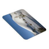 Transverse Dunen und Soaptree Yucca Magnet (Rechte Seite)