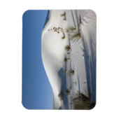 Transverse Dunen und Soaptree Yucca Magnet (Vertikal)