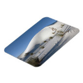Transverse Dunen und Soaptree Yucca Magnet (Linke Seite)