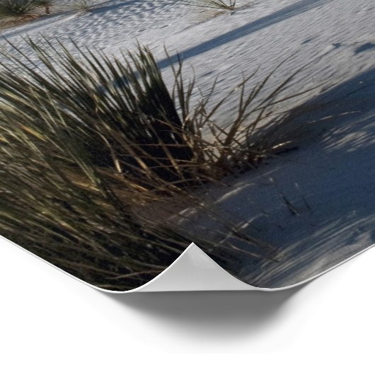 Transverse Dünen und Soaptree Yucca Poster (Ecke)