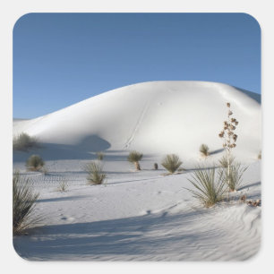 Transverse Dünen und Soaptree Yucca Quadratischer Aufkleber