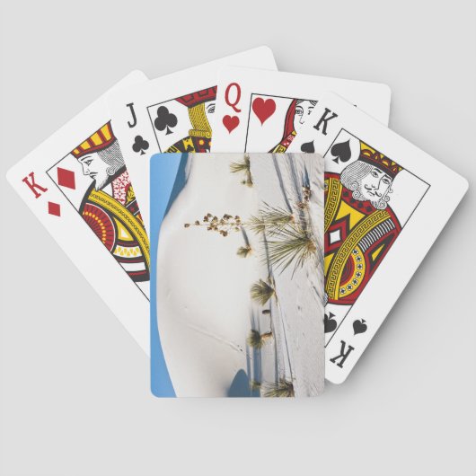 Transverse Dünen und Soaptree Yucca Spielkarten (Rückseite)