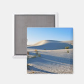 Transverse Dunen, Yucca, frühe Morgensonne Magnet (Vorderseite/Rückseite)