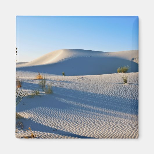 Transverse Dunen, Yucca, frühe Morgensonne Magnet (Vorne)