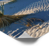 Transverse Dunen, Yucca, frühe Morgensonne Poster (Ecke)