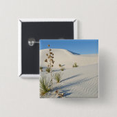 Transverse Dunes, Yucca, Schatten Button (Vorne & Hinten)