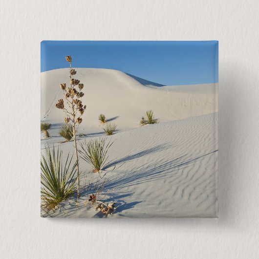 Transverse Dunes, Yucca, Schatten Button (Vorderseite)