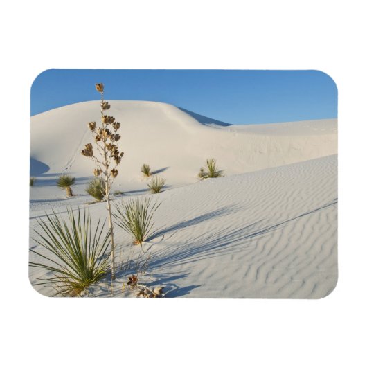 Transverse Dunes, Yucca, Schatten Magnet (Horizontal)